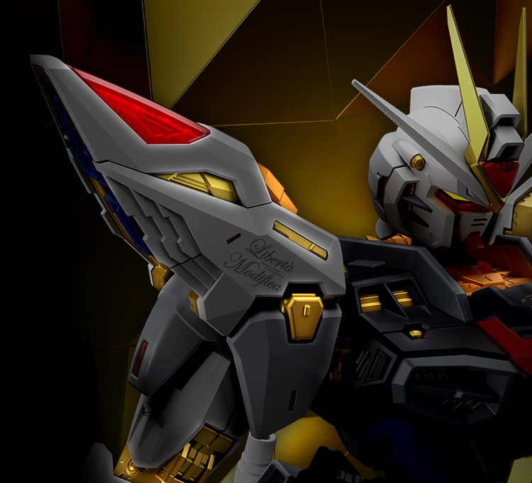 強化了內部骨架